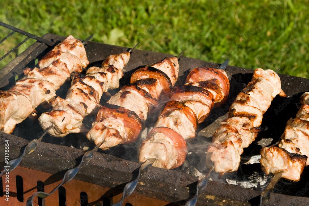 A wide-shot image of the skewers laid out on a table, possibly outdoors