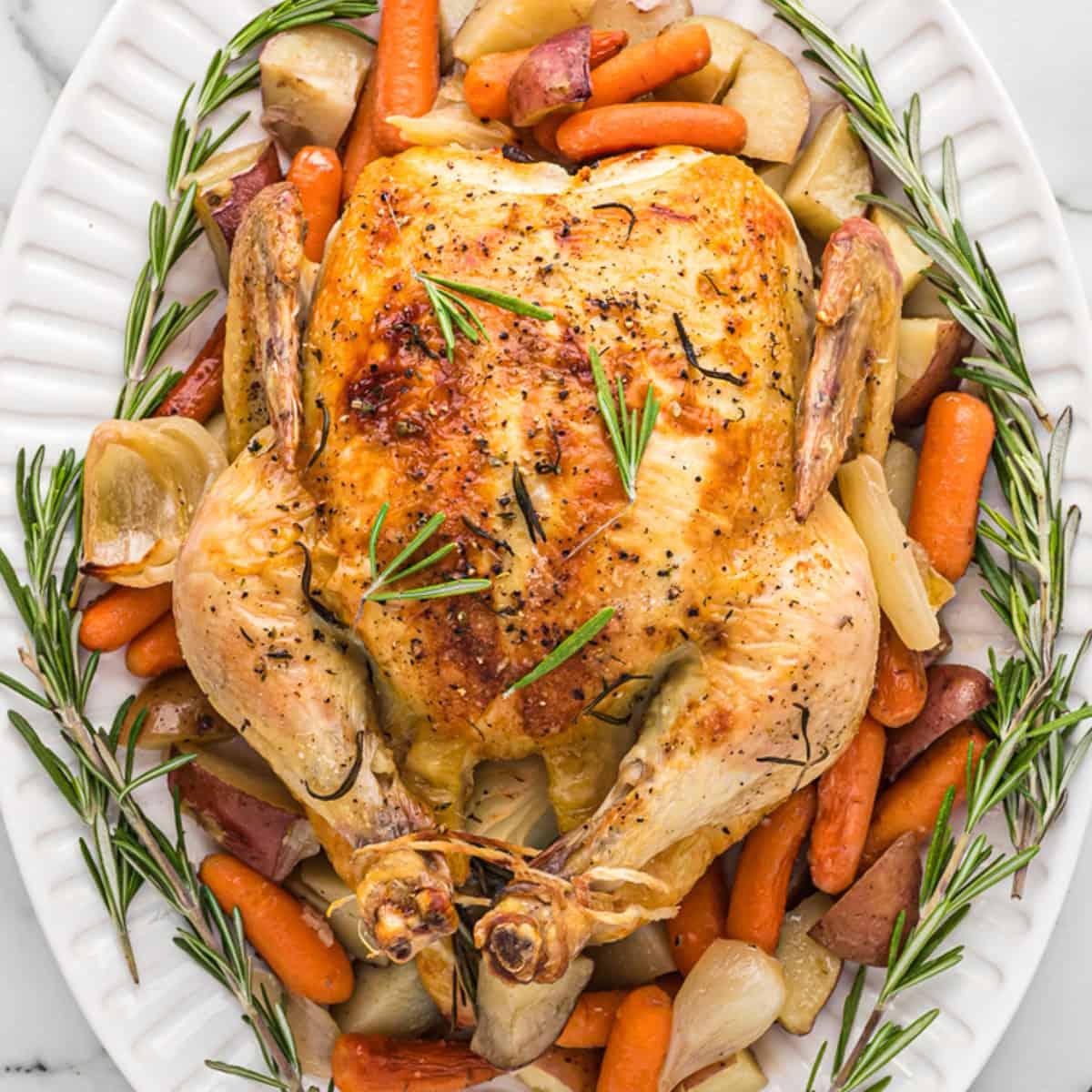 The finished rosemary roasted chicken, golden brown and glistening with herbs