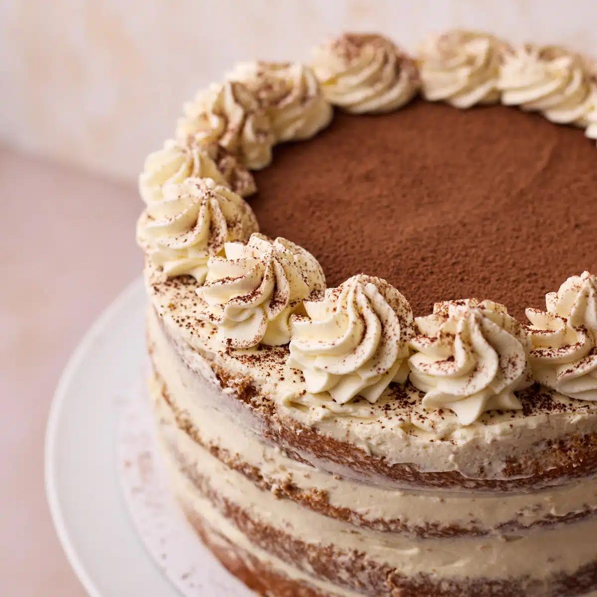 A close-up shot of a slice of the tiramisu birthday cake, showing its layers and texture