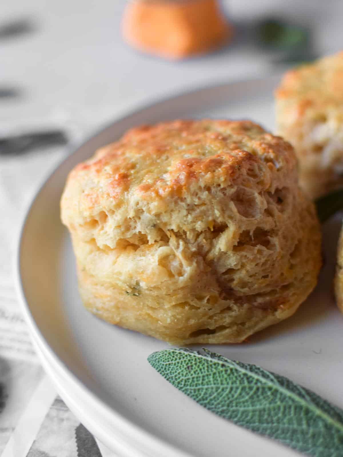 Close up shot of a freshly baked savory wheat and cheese biscuit, showing texture and cheese