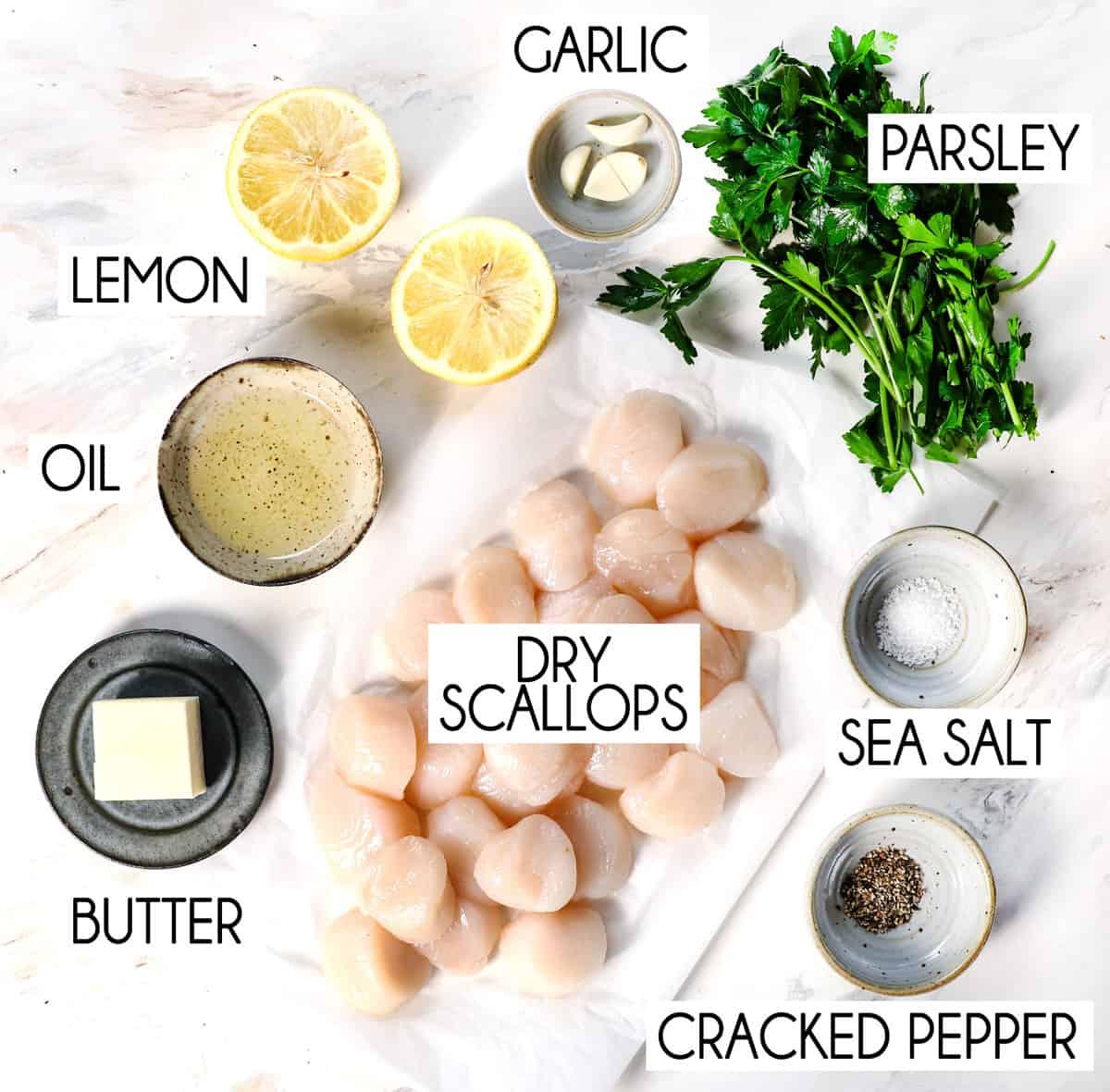 Close up of the ingredients: scallops, garlic, lemon, butter, parsley