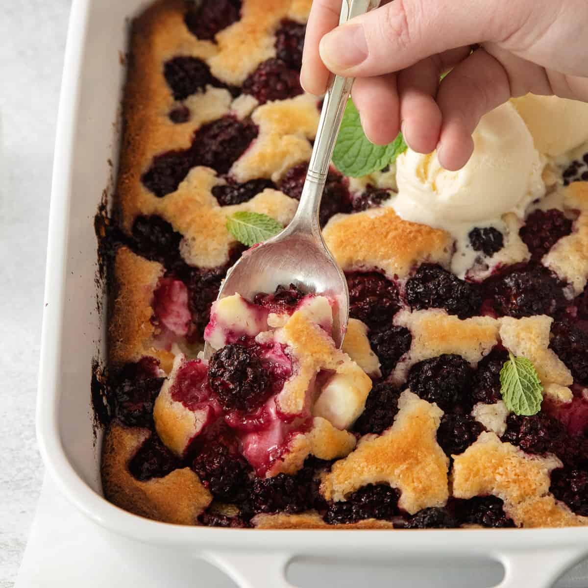 Close-up shot of a slice of Cashew Cheese and Blackberry Cobbler, showcasing the creamy cashew cheese and juicy blackberries