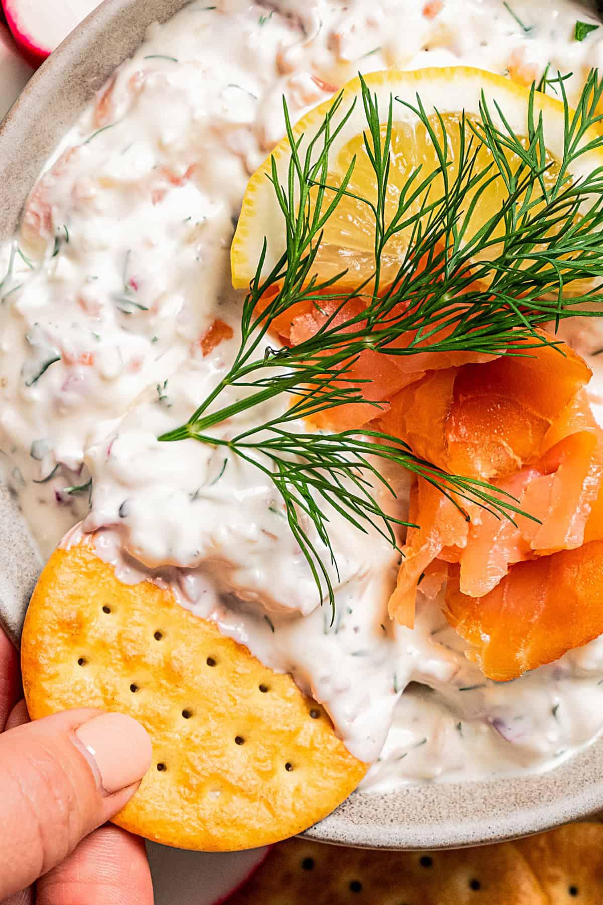 Close up of ingredients: smoked salmon, cream cheese, and fresh dill