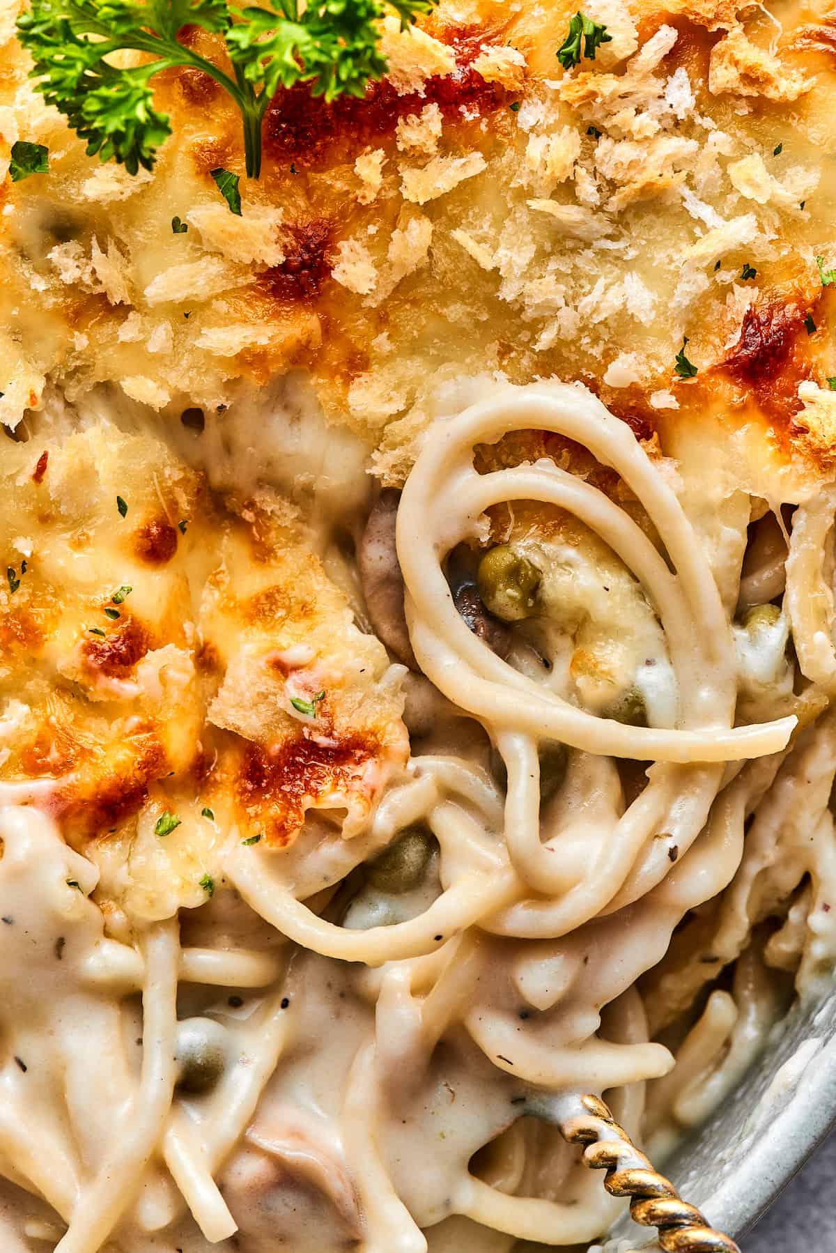 Close-up shot of a golden-brown Chicken Tetrazzini with bubbly cheese, garnished with fresh parsley