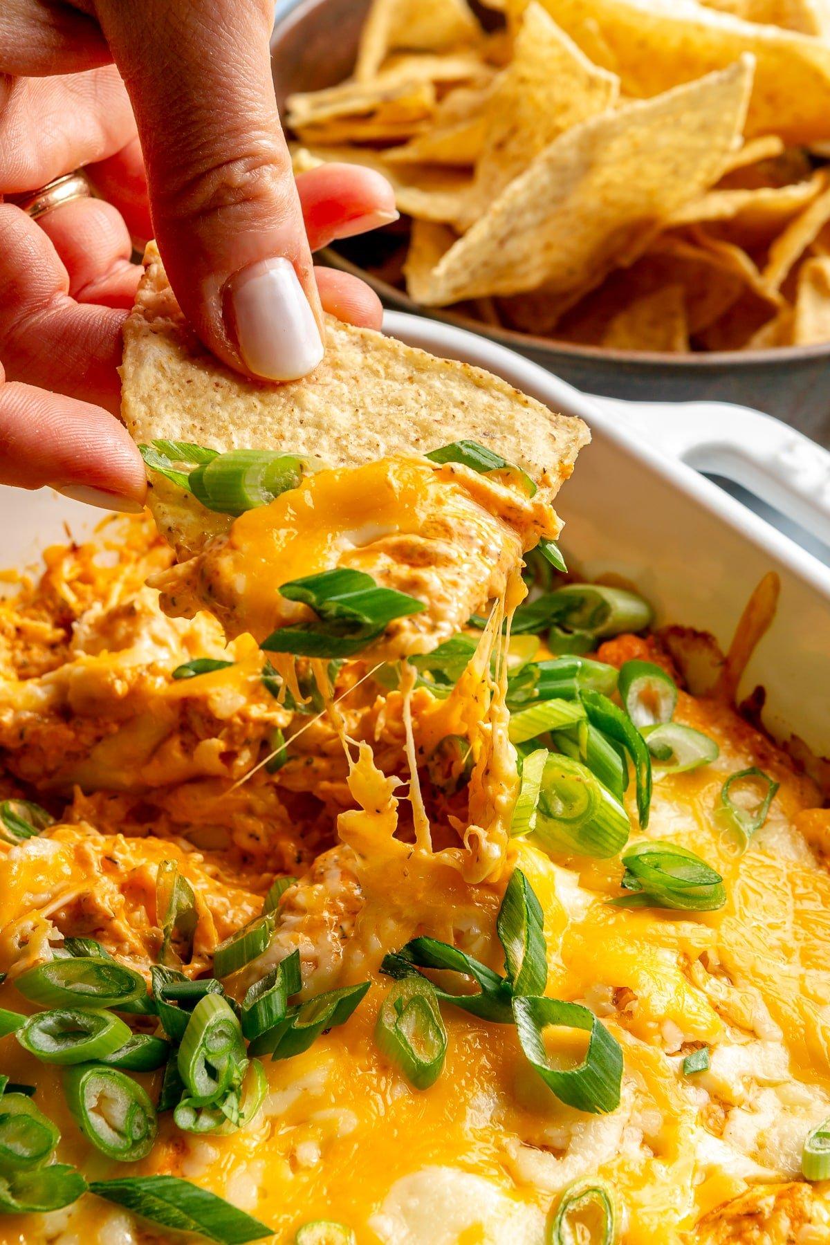 person scooping buffalo chicken dip with a tortilla chip