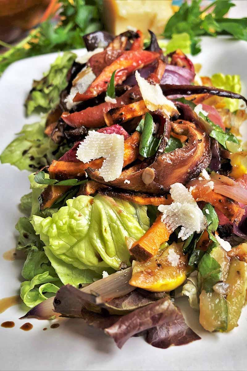 Close-up of a colorful roasted vegetable salad with balsamic glaze, garnished with fresh herbs