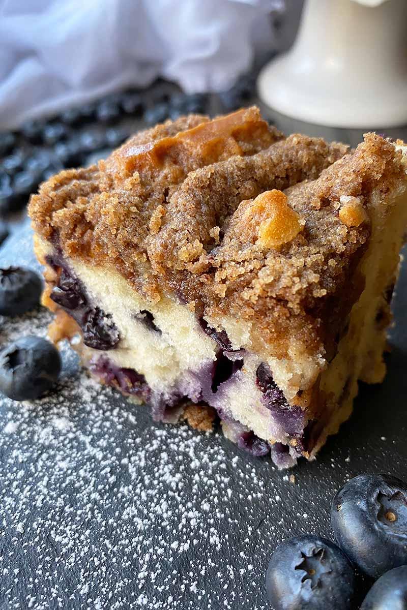 Close up of blueberry buckle with streusel topping