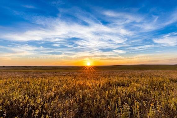 Oklahoma landscape with wheat fields and a sunset