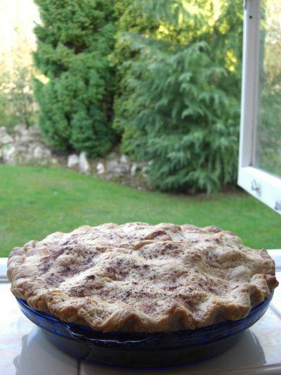 A rustic apple pie cooling on a windowsill, steam rising from the warm crust.