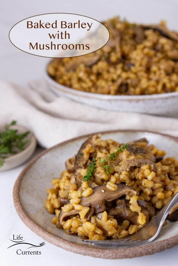 A serving of mushroom and barley casserole on a plate, garnished with fresh parsley.