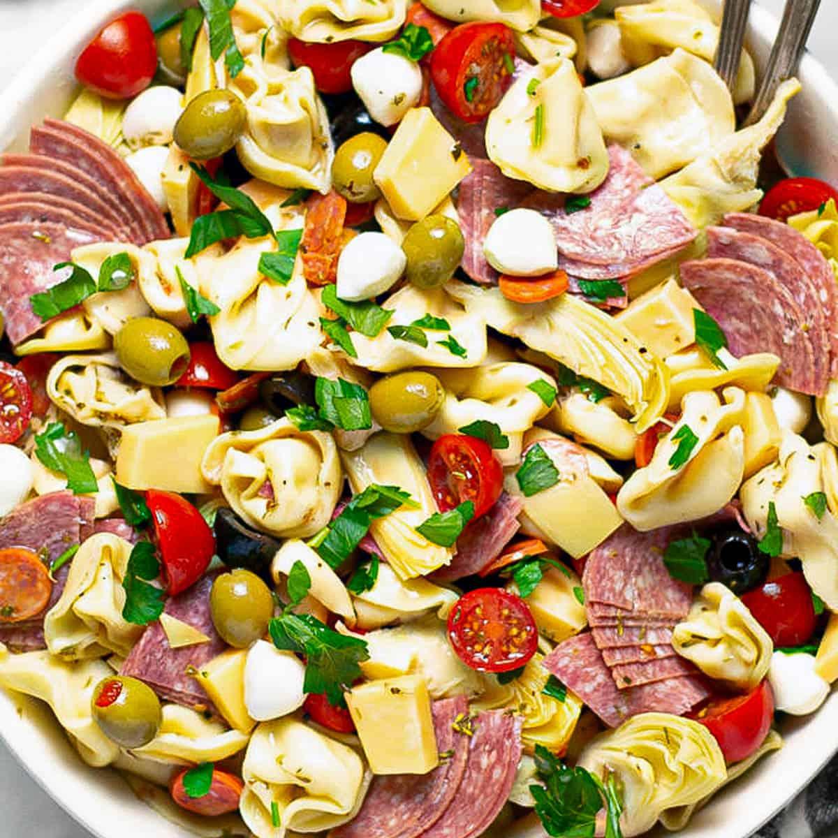 A wide shot of an antipasto salad served at a picnic