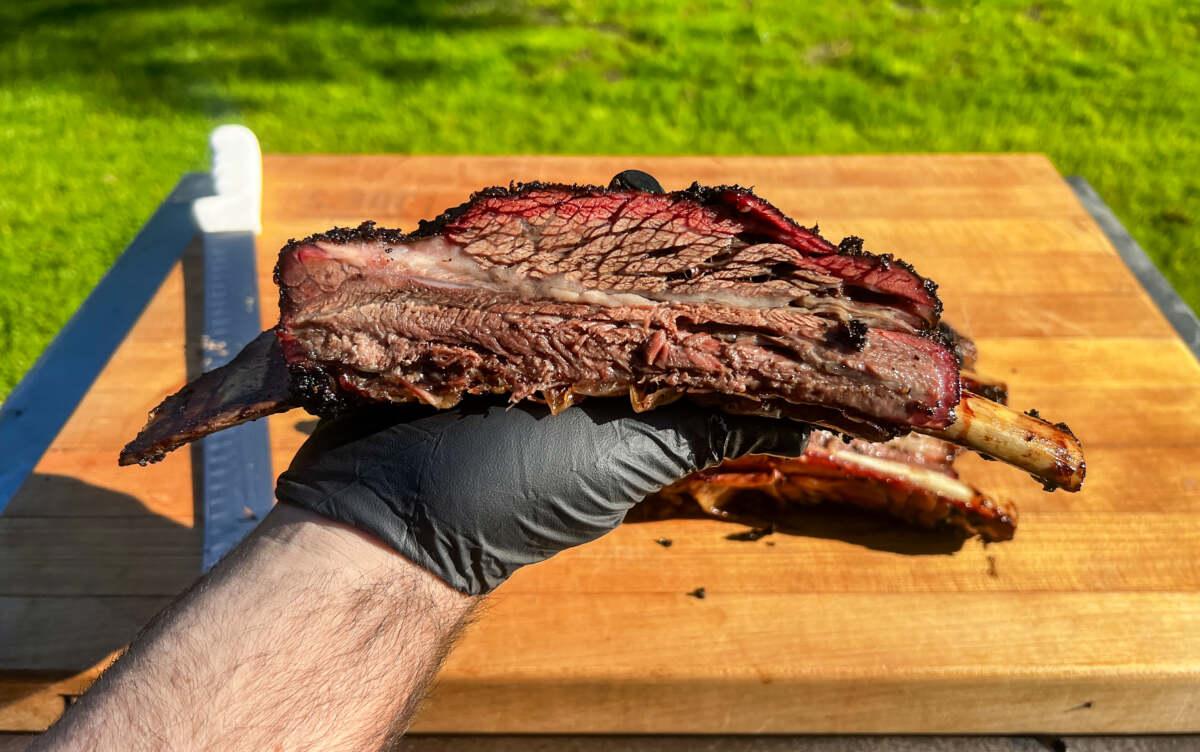 Close-up of a perfectly smoked beef rib, showing the bark and juicy meat