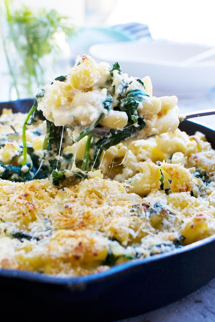 Close-up shot of creamy Greek Mac and Cheese with feta and breadcrumbs