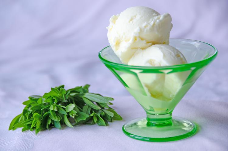 scoop of vibrant green sauerkraut ice cream with a sprig of dill