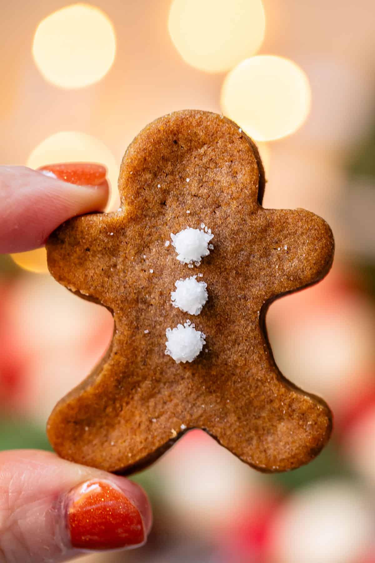 A close-up of a single gingerbread cookie, showing the texture