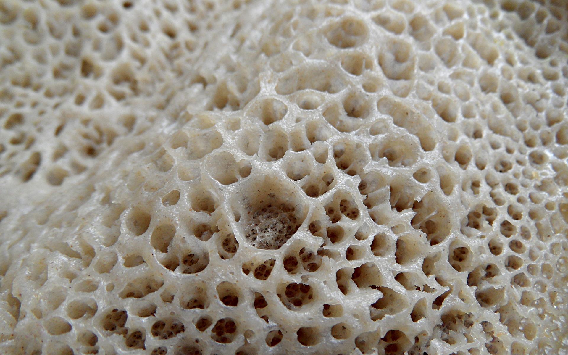 A close-up shot showing the texture of injera bread.