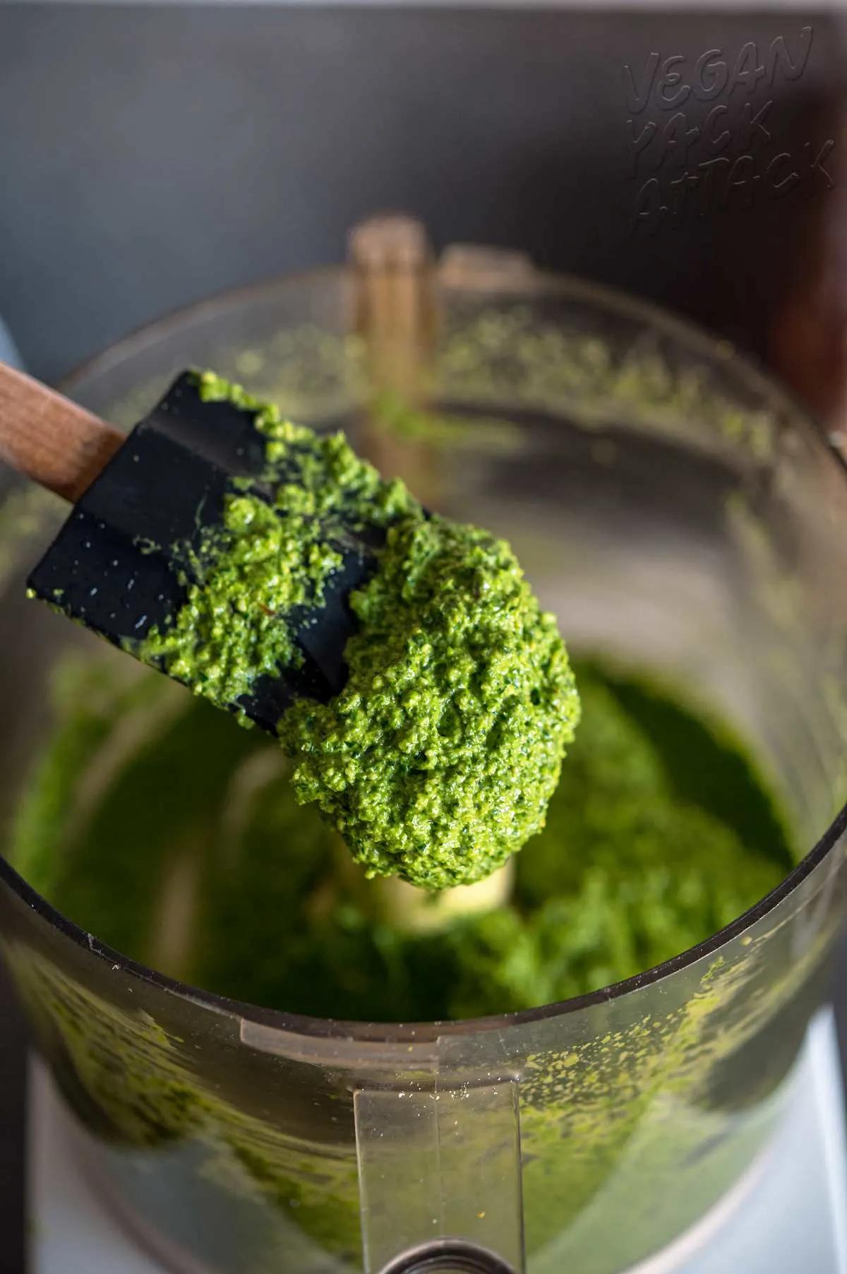 close up shot of cilantro pesto being made in food processor