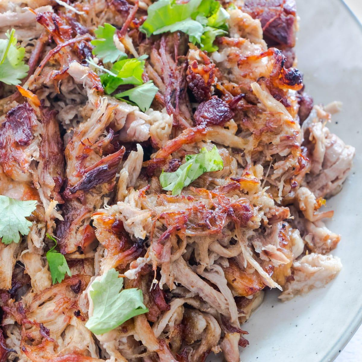 Close-up shot of carnitas roti being prepared, showcasing the ingredients