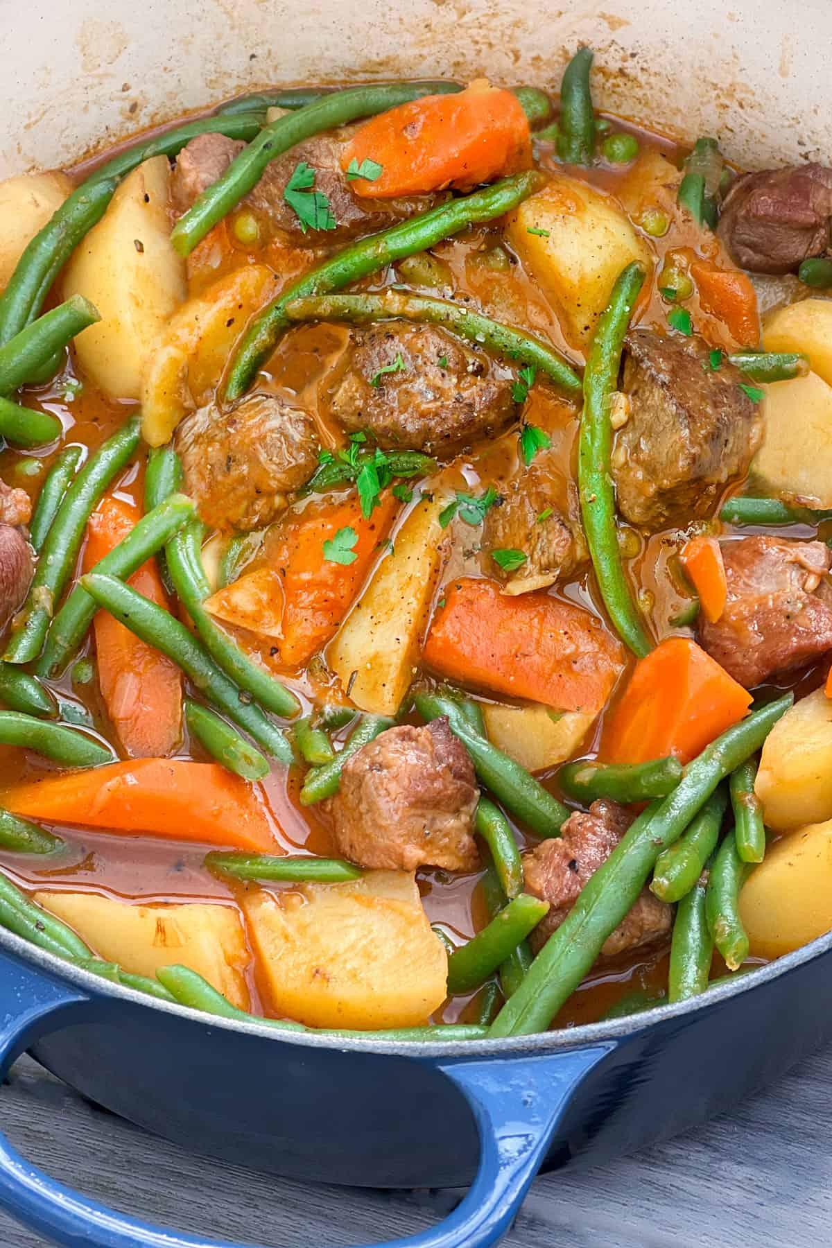 Close-up of the stew showing the tender lamb and vibrant vegetables