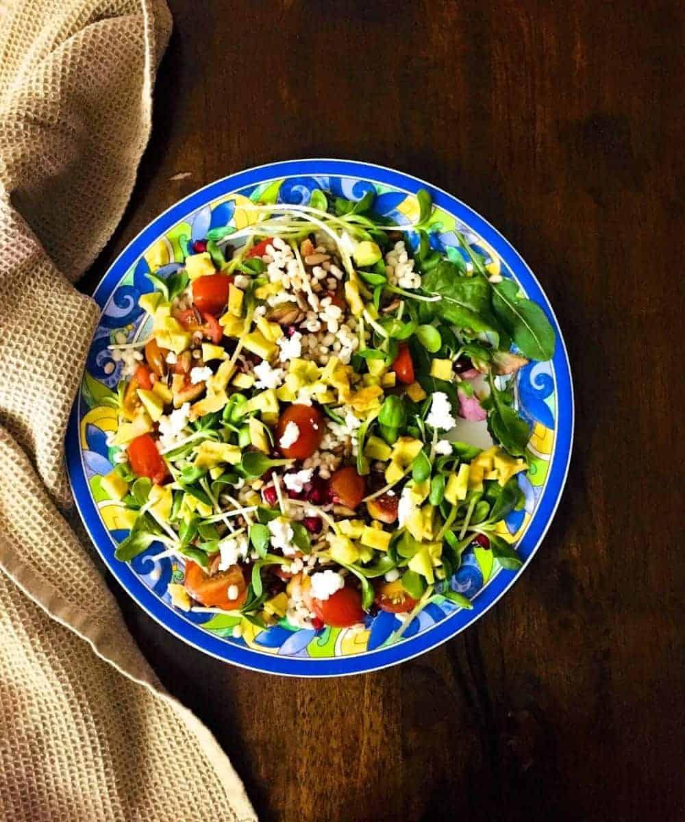 close up of barley and microgreens salad