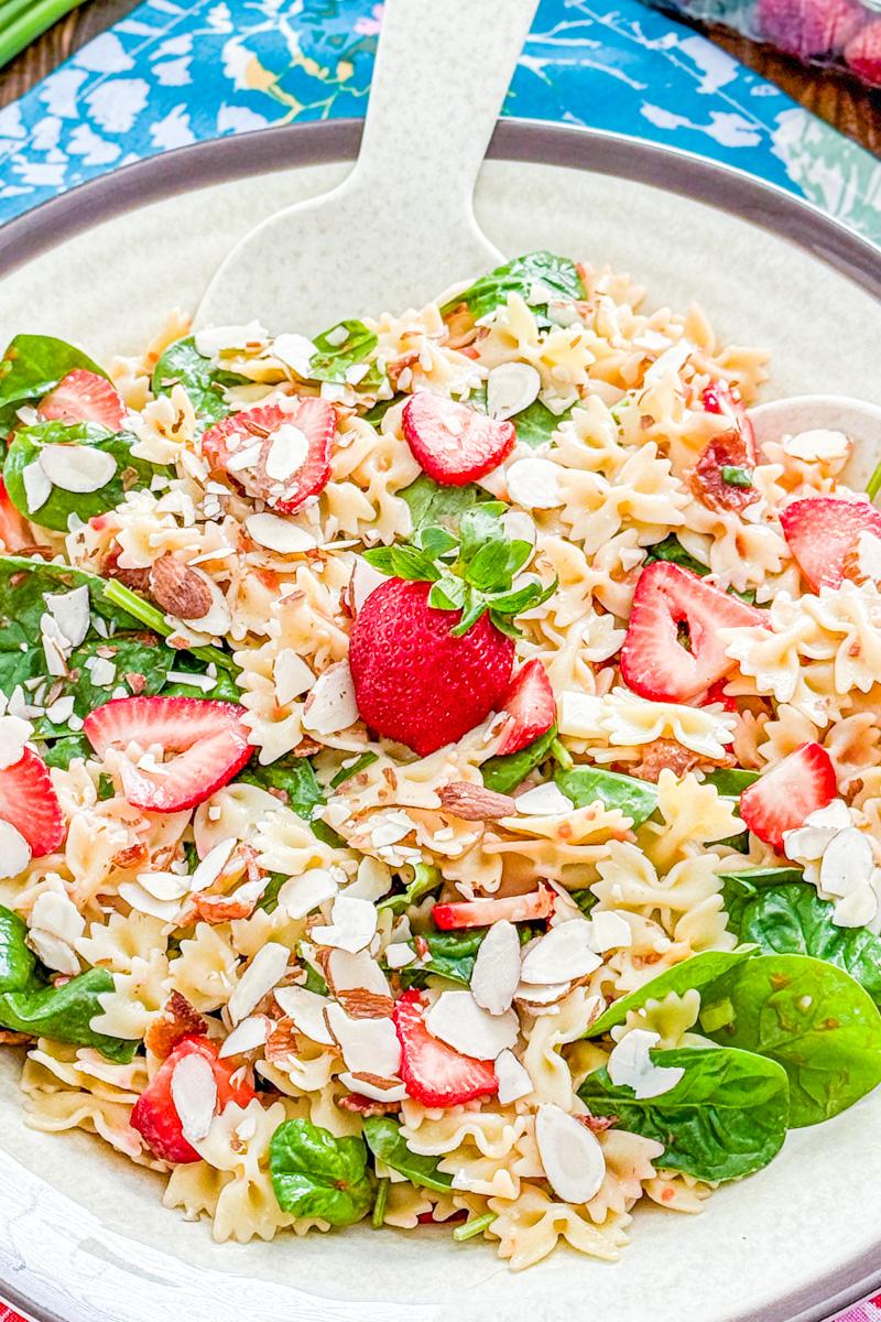 overhead shot of a picnic blanket with strawberry spinach pasta salad on it