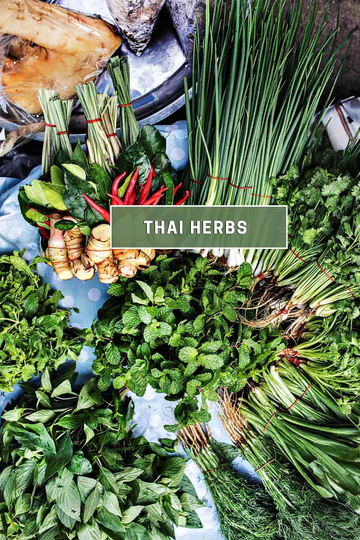 A close-up of various fresh Thai herbs and spices