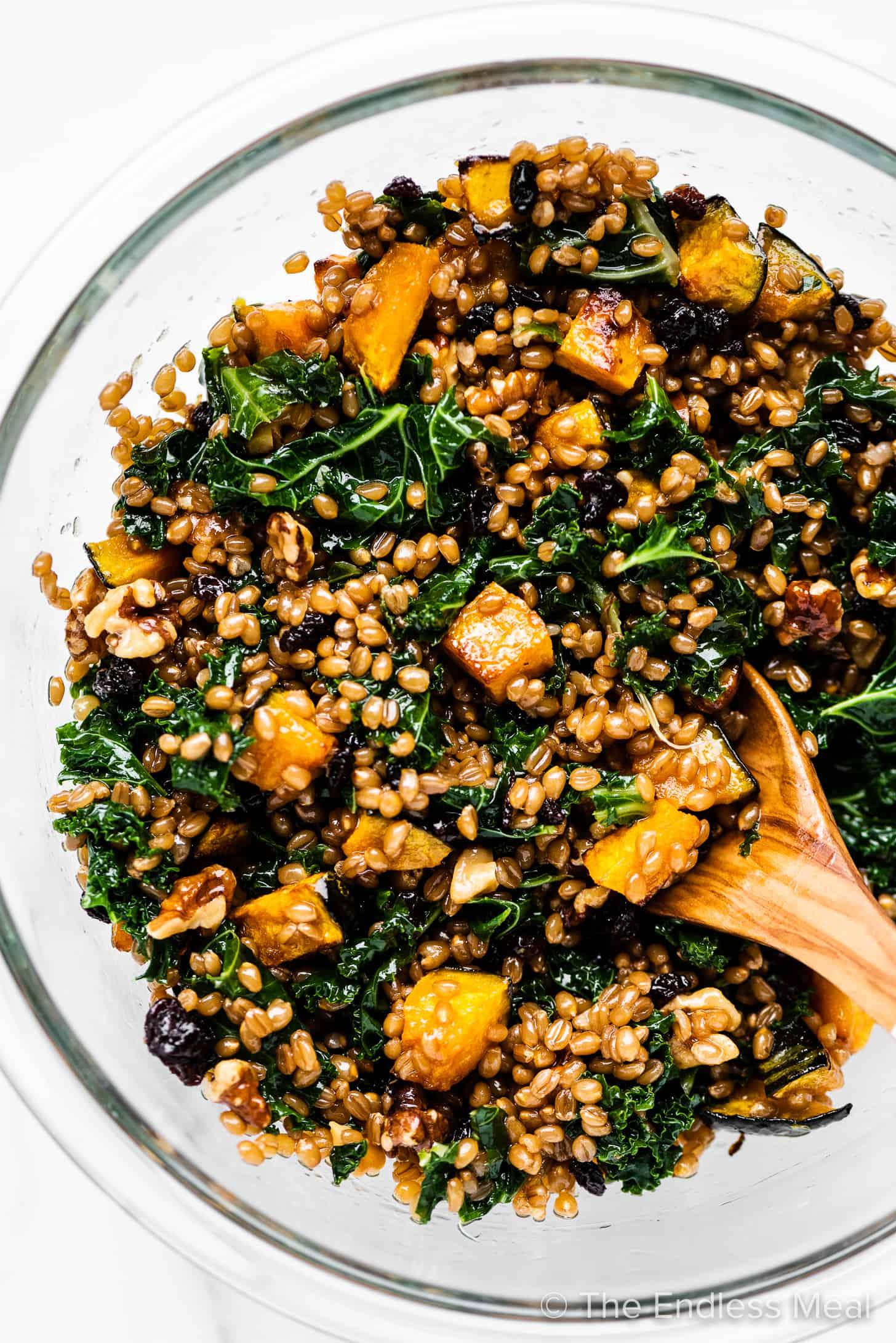 A person enjoying a bowl of Wheat Berry and Kale Salad