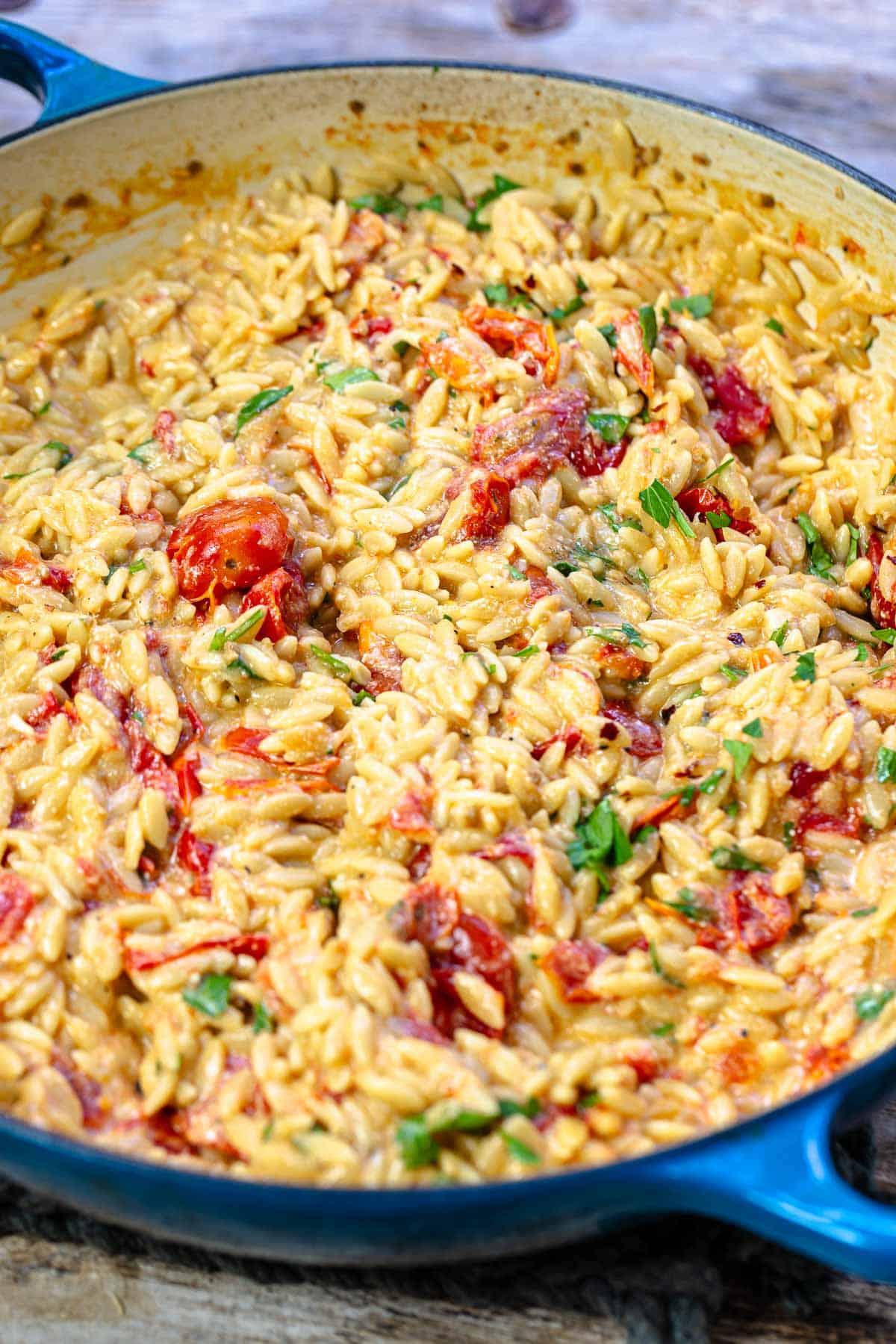 A vibrant photo of Garlic Parmesan Orzo with Burst Cherry Tomatoes, showcasing the bright colors of the tomatoes and the creamy orzo.