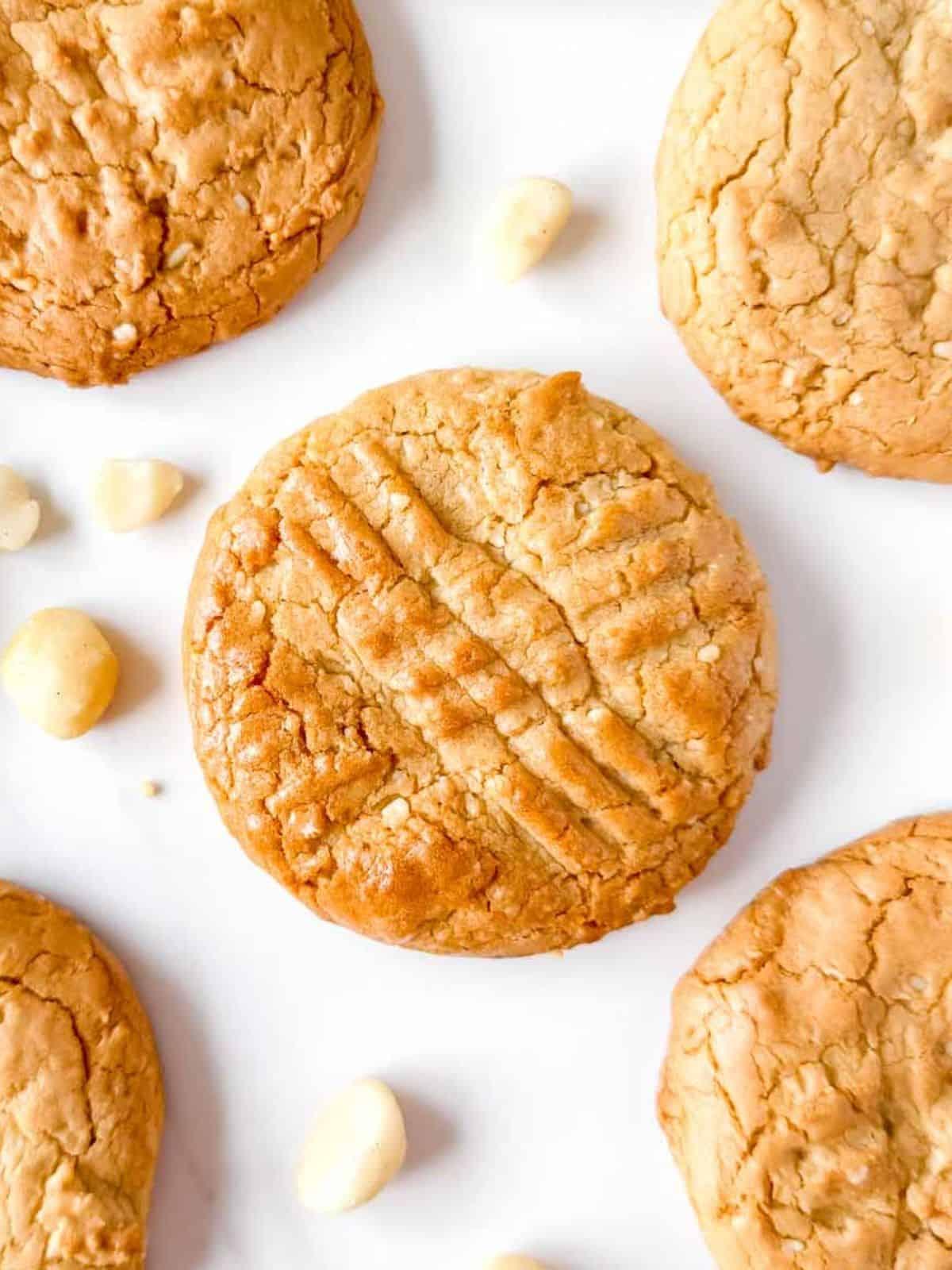 Close up of a single macadamia maple cookie, showing the texture and nuts.