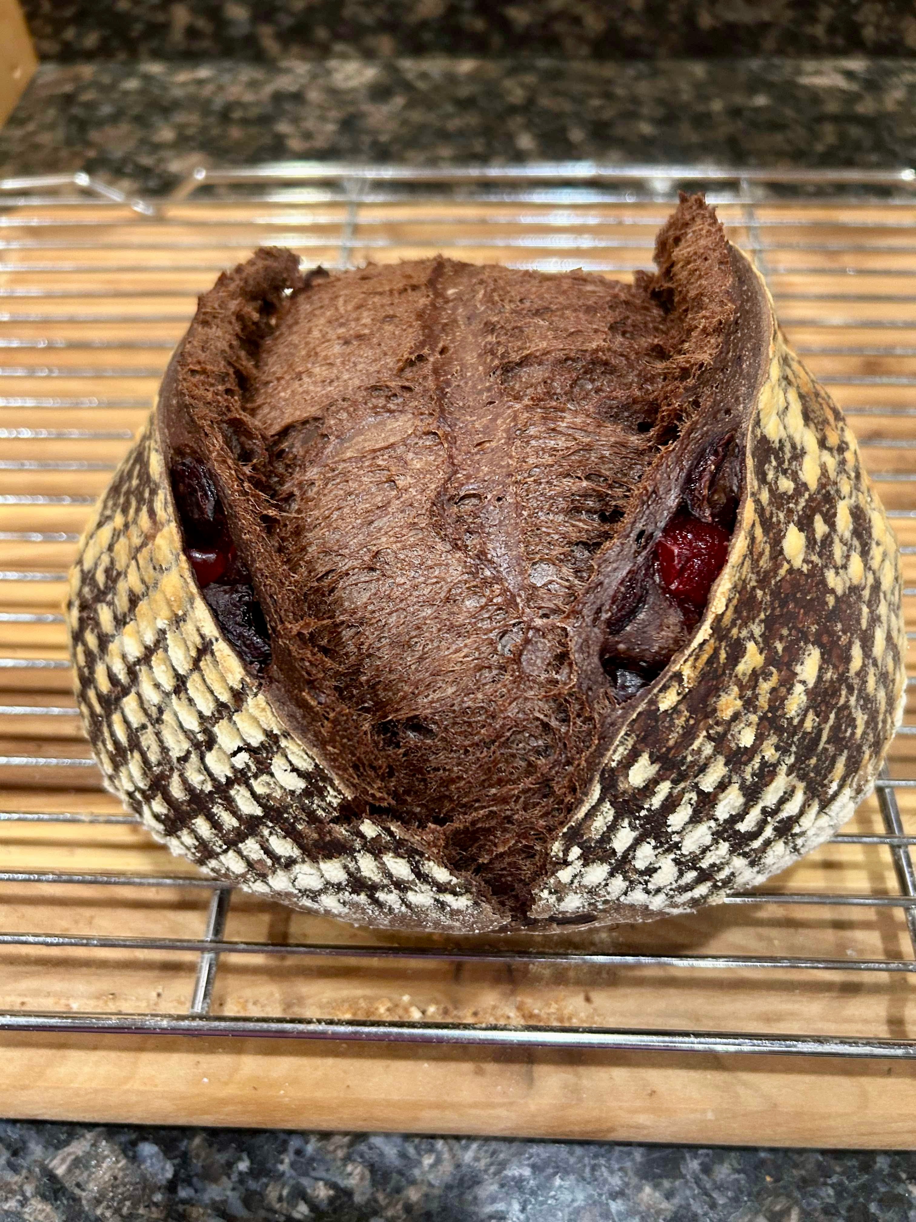 chocolate sourdough bread loaf cooling on a wire rack
