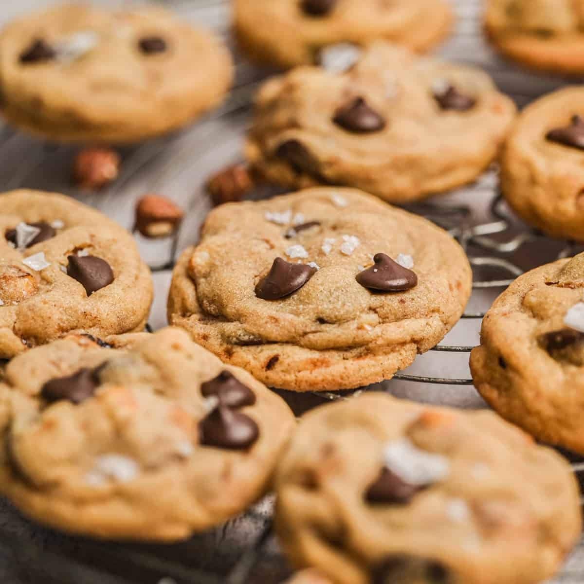 Warm hazelnut cookies cooling on a wire rack with whole hazelnuts scattered around
