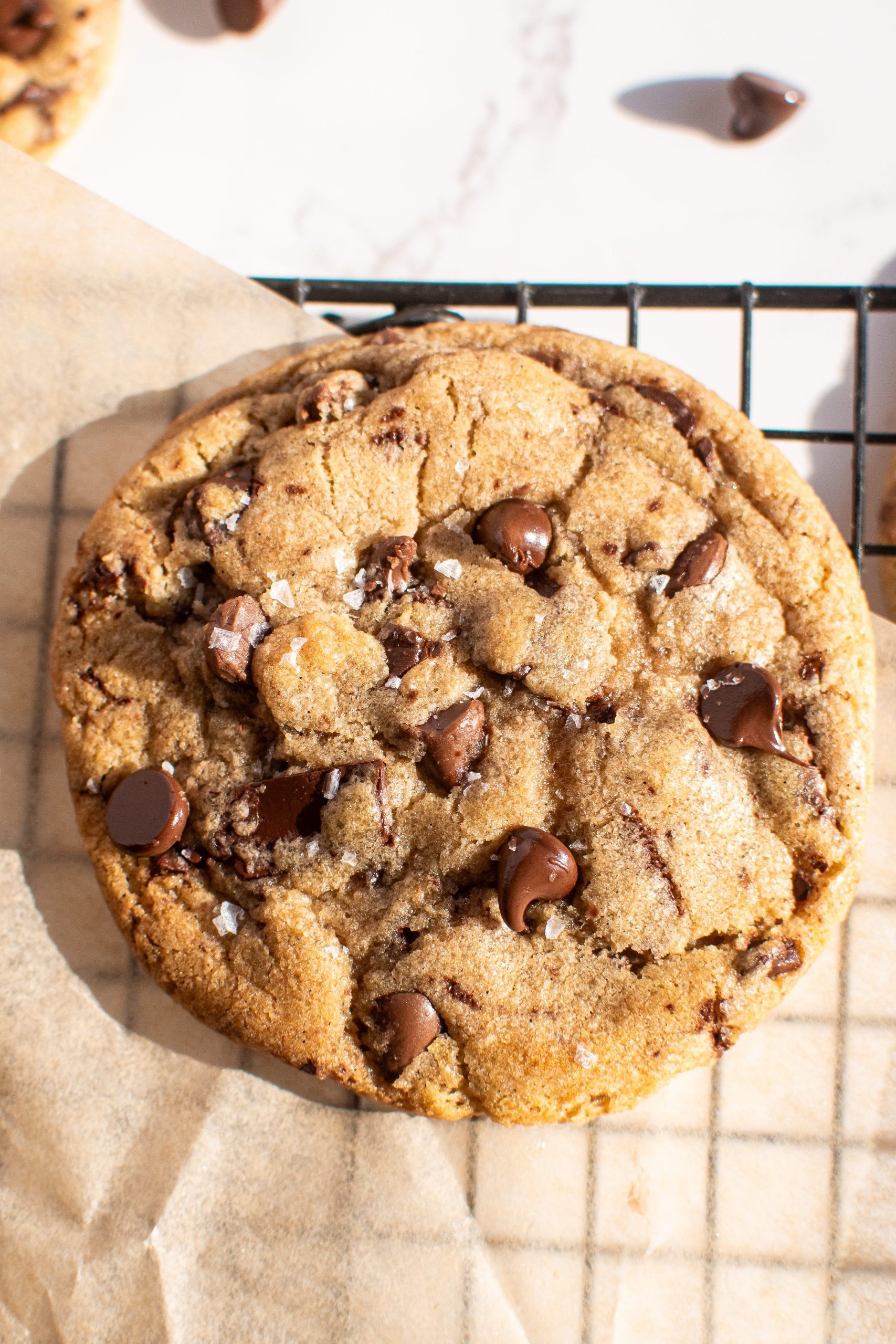 close up of freshly baked chocolate chip cookies